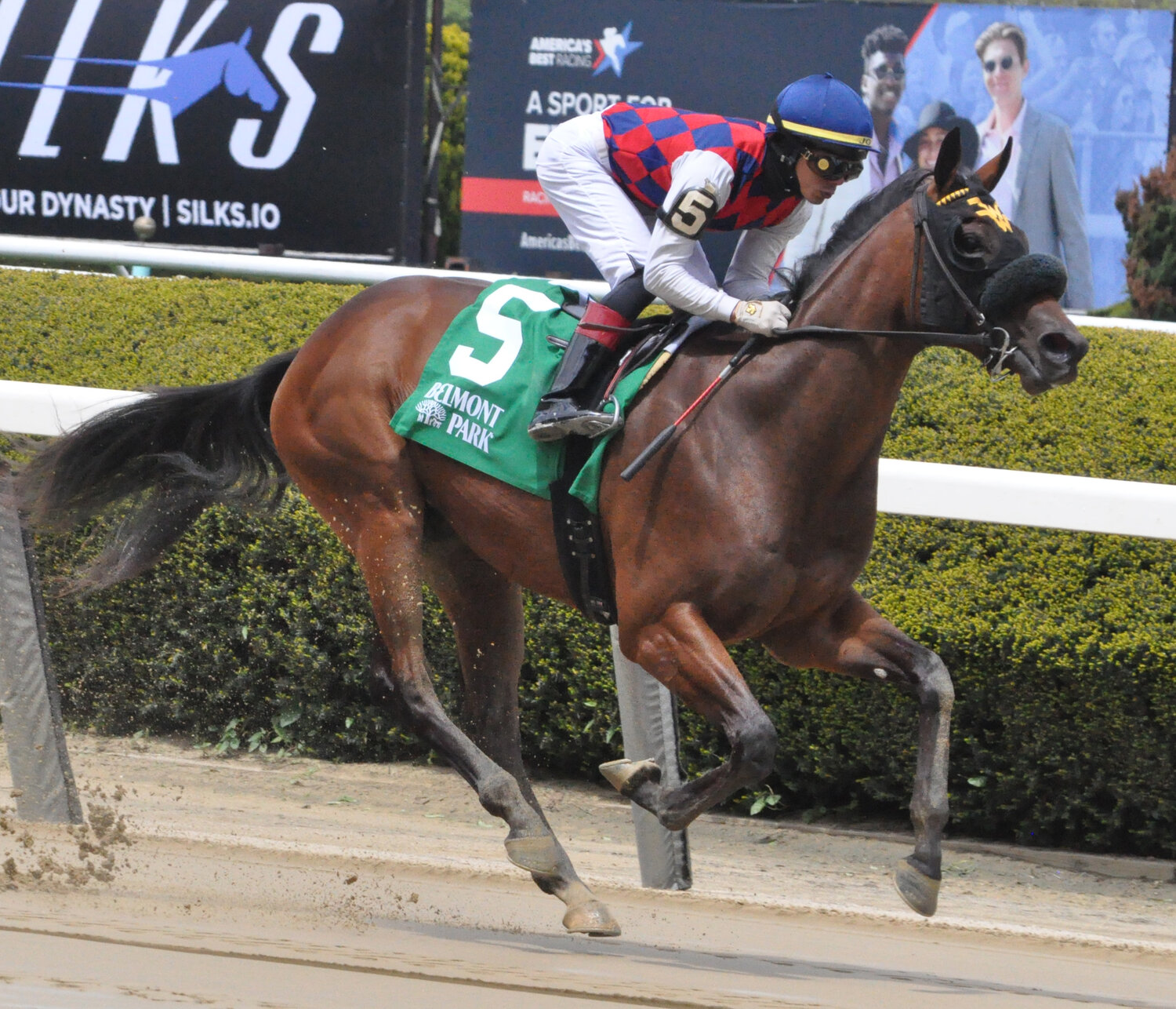 Live horse racing returns to Belmont Park for 2023 season Herald